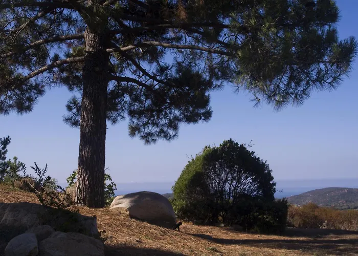 A Machja 16 Casa vacanze